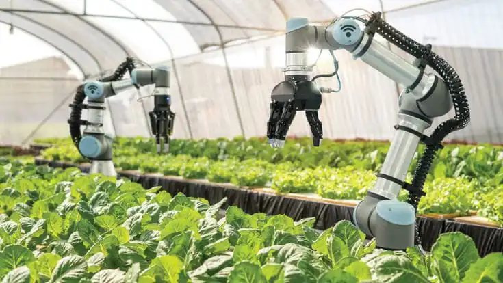 Transformasi Industri Perkebunan di Era Digital: Meningkatkan Produktivitas dan Keberlanjutan